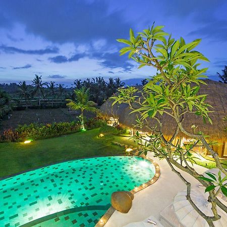 Villa Omah Padi Ubud Zewnętrze zdjęcie
